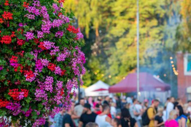 Close-up of a flowerbed with flowers, on the background of a crowd on the street in Kauguri, Jurmala, Latvia. Small depth of field.