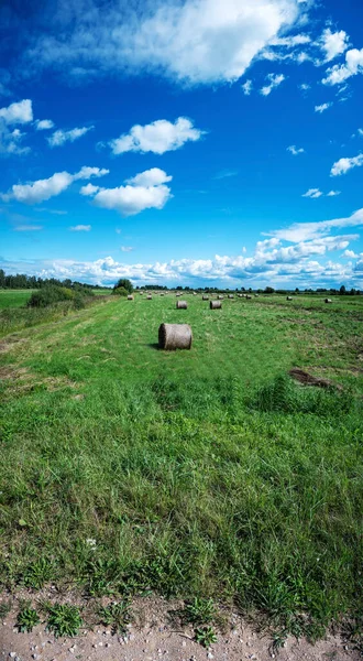 Panorama Landscape Countryside Field Haystacks Blue Sky Clouds — 스톡 사진