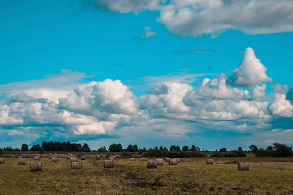Landscape Countryside Field Haystacks Blue Sky Clouds — Foto Stock