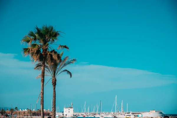 Barcelona Spain May 2022 View Beach Balearic Sea Many People — Photo