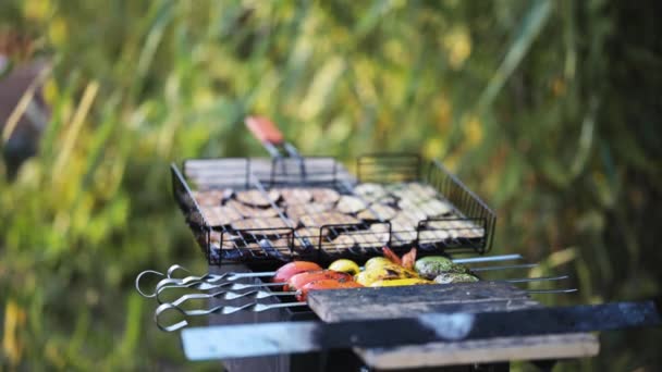 Timelapse Főzés Pácolt Padlizsán Grill Édes Paprika Nyárson Piknik Természetben — Stock videók