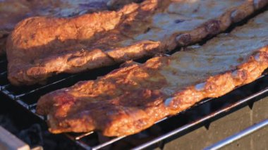 Pickled pork ribs on the grill grate are cooked on the coals in the grill in the summer at sunset. Picnic in nature. Small depth of field.
