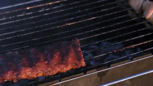 쇠고랑에 돼지고기 갈비는 여름철해질 그릴에 숯에서 익힌다 사람은 불에서 조리된 — 비디오