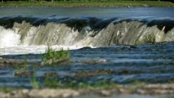 在拉脱维亚库尔迪加 美丽的风景与Ventas Rumba瀑布 鱼类跳跃在上面 Vimba鱼开始产卵了在欧洲最大的瀑布上飞鱼 是的高质量的4K镜头 — 图库视频影像