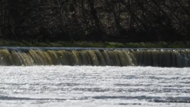 在拉脱维亚Kuldiga的Ventas Rumba瀑布特写镜头 鱼在瀑布上跳跃 Vimba鱼开始产卵了在欧洲最大的瀑布上飞鱼 小深度的场 高质量的4K镜头 — 图库视频影像