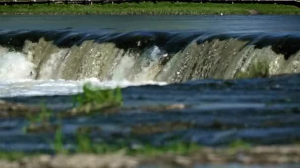在拉脱维亚库尔迪加 美丽的风景与Ventas Rumba瀑布 鱼类跳跃在上面 Vimba鱼开始产卵了在欧洲最大的瀑布上飞鱼 高质量的4K镜头 — 图库视频影像