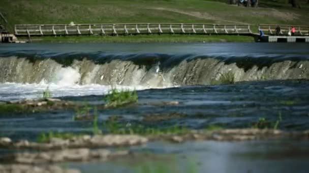 Bellissimo Paesaggio Con Ventas Rumba Cascata Cui Pesci Saltano Kuldiga — Video Stock