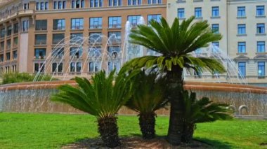 Barcelona, Catalunya Plaza 'daki Çeşmeye Karşı Yeşil Palmiye Ağaçlarının Yakın Çekimi. Yüksek kalite 4k görüntü