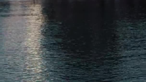 Ακτίνες Του Ήλιου Που Δύει Αντανακλώνται Στο Νερό Της Σκοτεινής — Αρχείο Βίντεο