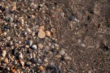 Bitcoin Sikkesi, Yunanistan 'ın Korfu şehrinde Moraitika' daki çakıl taşlı plajda yatıyor. Doğa ve Sınırsız Olasılıklar İçin Ödeme Konsepti. Uzayı kopyala Yüksek kalite fotoğraf