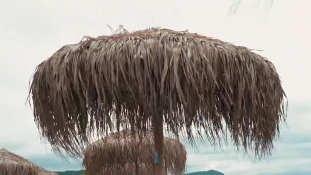 Parasol Plażowy Wykonany Liści Palmy Kołysz Się Wietrze Tle Zachmurzone — Wideo stockowe