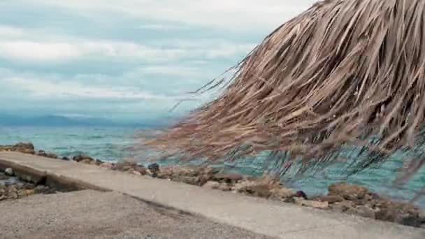 Parasol Plażowy Wykonany Liści Palmy Kołysać Się Wietrze Tle Molo — Wideo stockowe