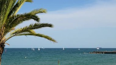 Barcelona, İspanya - 29 Mayıs 2022: Balear Denizi 'nde Palmiye ağaçlarından teknelere bakış. Yüksek kalite 4k görüntü