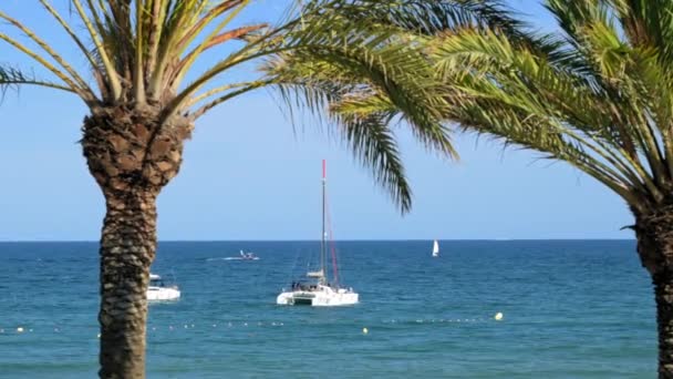 スペインのバルセロナ 2022年5月29日 バレアレス海に浮かぶボートにヤシの木を通して見る 高品質4K映像 — ストック動画