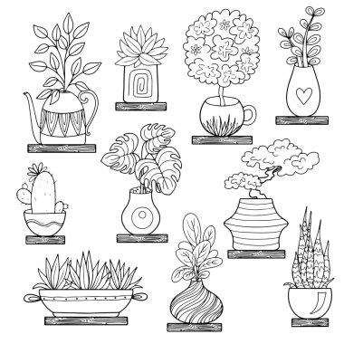 Coloring. A set of indoor flowers in pots. Vector illustration