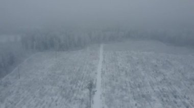 Flying over a snowy forest in the fog. Cold and gloomy view of the ice trees