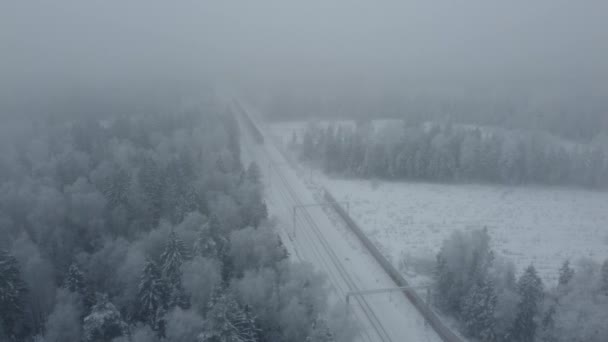 Top View Flight Snow Covered Trees Winter Day Fog — Wideo stockowe