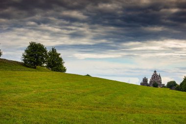 Yeşil bir çayırda duran bir ağaç ve gökyüzünde bulutlar olan manzara