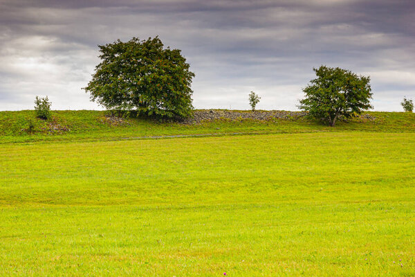 Landscape with a tree standing on a green meadow and clouds in the sky