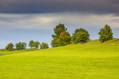 Yeşil çayırlar, ağaçlar ve dramatik fırtına bulutlarıyla güzel minimalist bir manzara.