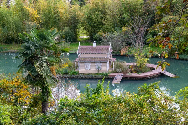 Yazın botanik bahçesinde güzel bitkiler. Egzotik ağaç ve çalı türleri