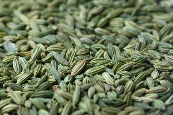 Kuru rezene tohumları arka plan için fotoğrafı kapatın. Tohumlar düz yayıldı. Kullanılan seçici odak.