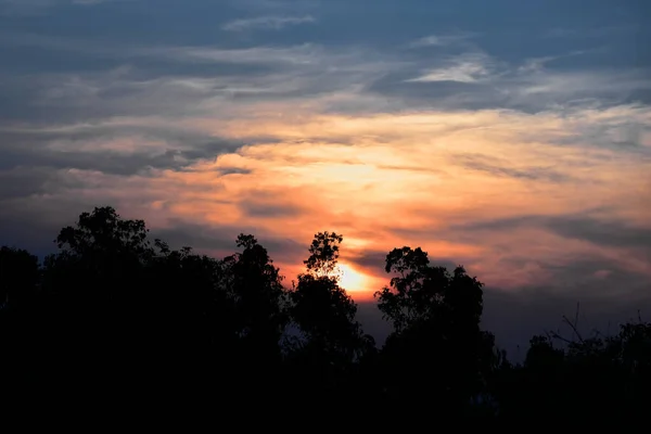 Закатный Вечер Облачным Небом Силуэтом Деревьев — стоковое фото