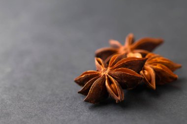 Üç yıldız anason tohumları baharatları kurumuş durumda siyah arkaplan ve kopyalama alanı ile seçici odak.