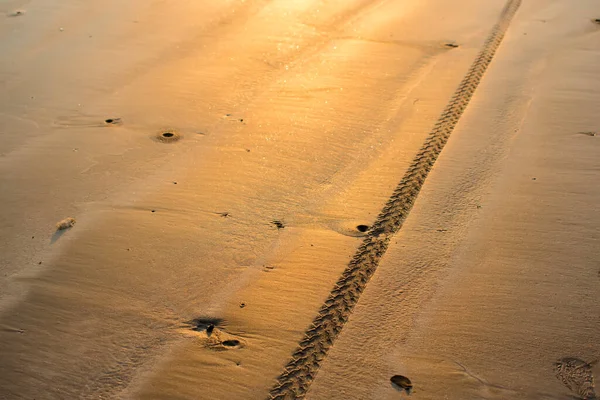 Bike tyre treads patterns impression on wet beach sand with evening golden sunlight on the sand shining.