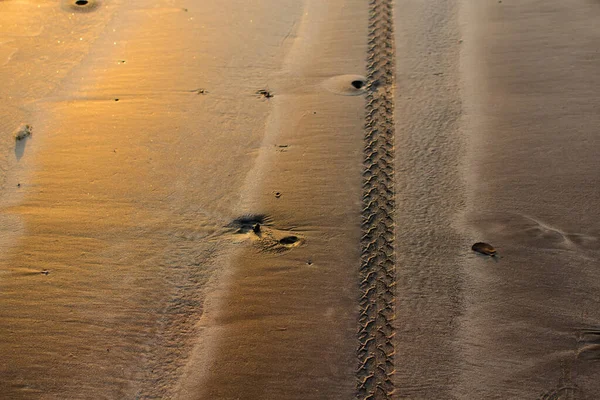 Tyre Impression Bike Wet Beach Sand Golden Colored Light Sunset — Stock Photo, Image