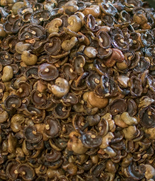 Cashew Nut Shells Which Separated Kernels Used Selective Focus Stock Obrázky