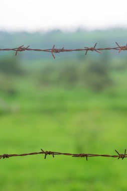 Yeşil arka planda iki sıra halinde paslı çit zinciri. Kullanılan seçici odak.