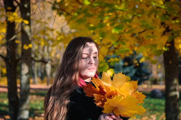 Kobieta Długimi Włosami Patrzy Żółte Liście Jesiennym Parku Jesienny Sezon — Zdjęcie stockowe