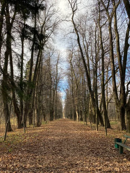 Vue panoramique des ruelles du Musée-Réserve Gorki Leninskiye en automne — Photo