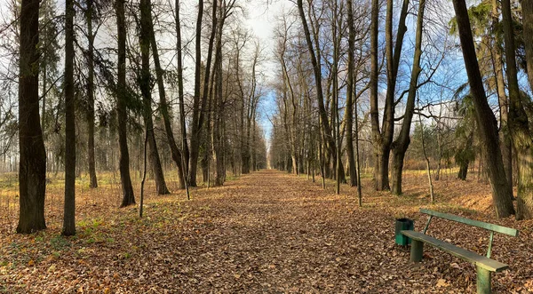 Sonbaharda Gorki Leninskiye Müzesi-Rezervi 'nin panoramik manzarası