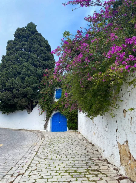 Sidi bou Said, Tunus - 6 Ocak 2022: Sidi bou Said 'deki mavi kapı