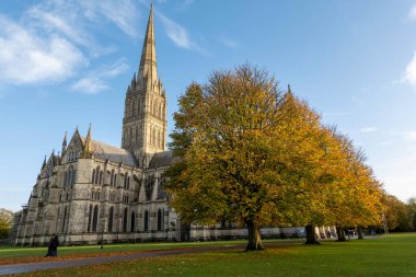 Salisbury, Wiltshire, İngiltere, İngiltere. 2021 yılı. Salisbury Katedrali, batan güneşin parlaklığıyla çevredeki ağaçlar ve mavi gökyüzü. 