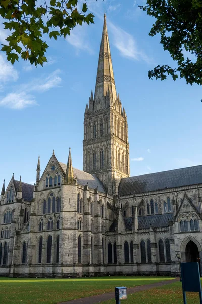 Salisbury Wiltshire England Storbritannien 2021 Salisbury Cathedral Och Spira 404 — Stockfoto