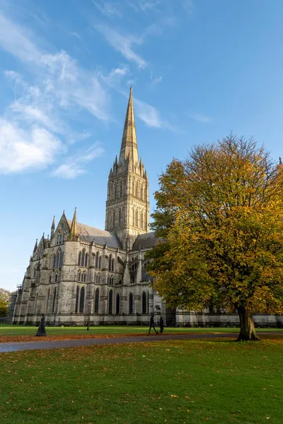 英国威尔特郡索尔兹伯里2021年 索尔兹伯里大教堂 周围的树上挂着夕阳西下的光芒 蓝蓝的天空 — 图库照片