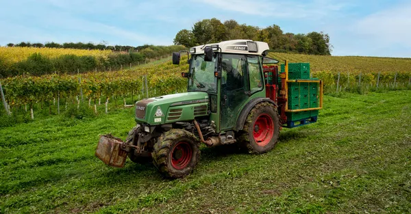 Hampshire Anglia Egyesült Királyság 2021 Ben Traktor Szőlőültetvényen Szállító Dobozok — Stock Fotó