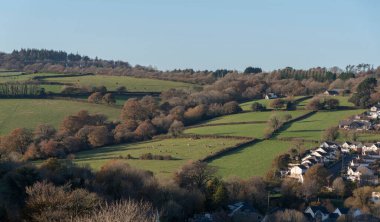 Launceston, Cornwall, İngiltere, İngiltere 2021. Kuzey Launceston kırsal konutları bitişik tarım arazileri