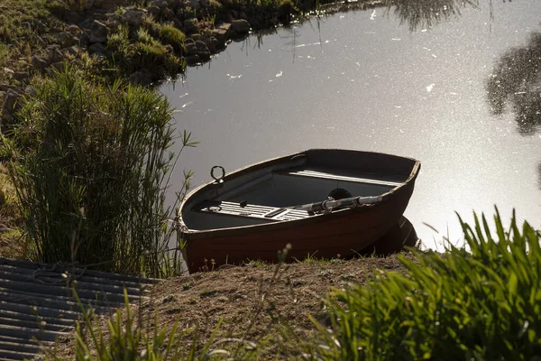 Batı Burnu, Güney Afrika. 2022 yılı. Su üstünde kürekleri olan küçük bir kayık..