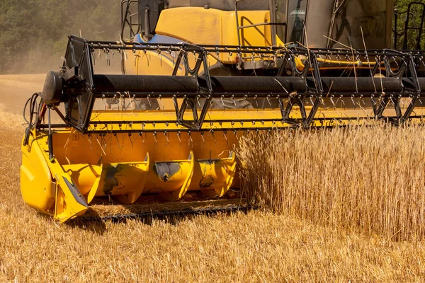 Temple Guiting Cheltenham England 2022 Combine Harvester Harvesting Rye English — kuvapankkivalokuva
