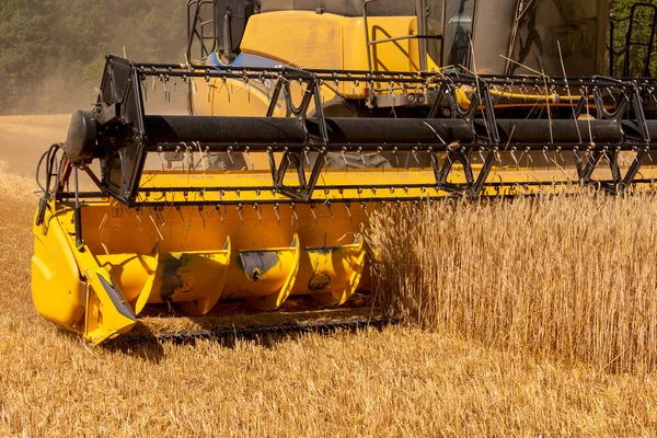 Temple Guiting Cheltenham England 2022 Combine Harvester Harvesting Rye English — Stock Photo, Image