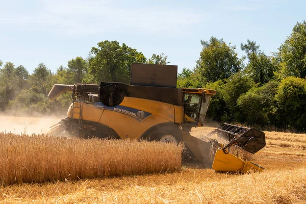 Temple Guiting Cheltenham England 2022 Combine Harvester Harvesting Rye English —  Fotos de Stock