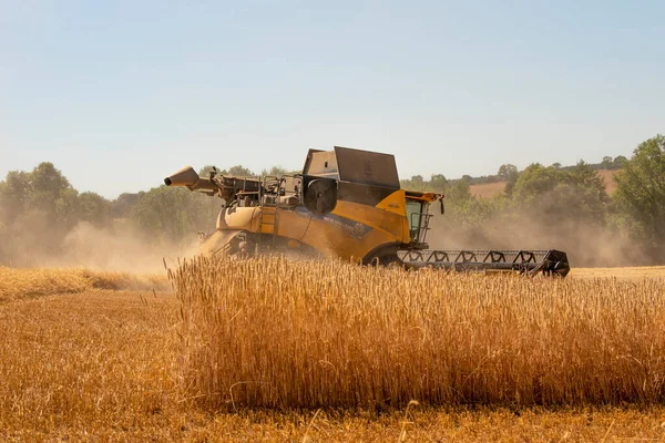 Cotswolds Gloucestershire England 2022 Combine Harvester Harvesting Rye Crop Gloucetsershire —  Fotos de Stock