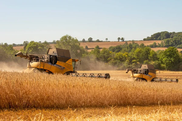 Cotswolds Gloucestershire England 2022 Two Combine Harvesters Harvesting Rye Crop — Fotografia de Stock