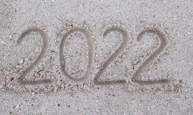 2022 'de kuma çizilmiş. Parlak güneşli fotoğraf.