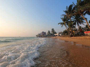 Yumuşak mavi okyanus dalgaları temiz kumlu bir sahilde palmiye ağaçları ile.