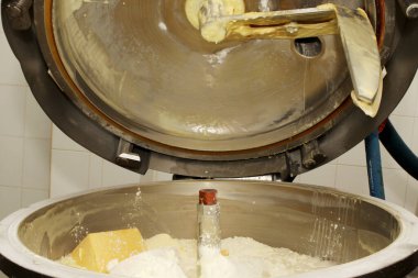 Mixing mass for the production of processed cheese. Cheese production. Technology